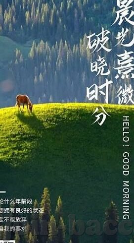 澳门皇家赌场主题音乐-澳门皇家赌场主题音乐，旋律中的奢华与冒险